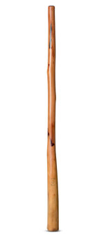 CrookedStixz Didgeridoo (AH341)